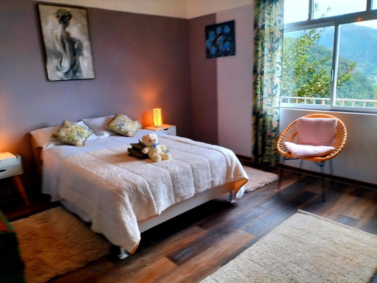 Vila Sea Mountain House Machico  Exteriér fotografie